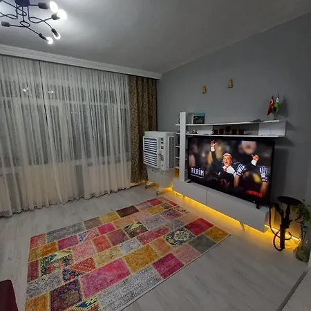 Ali's House *